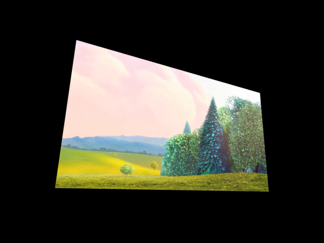 Video Texture